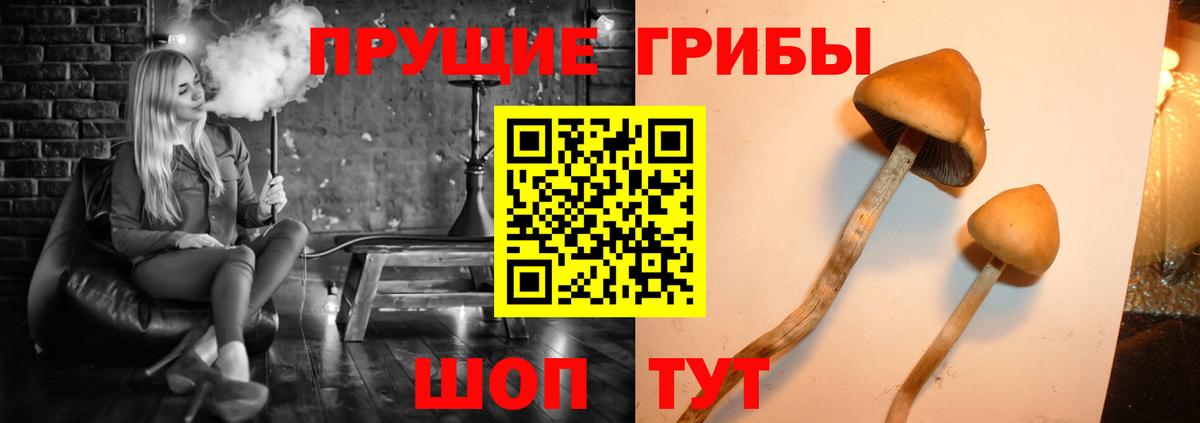 Галлюциногенные грибы мухоморы Кыштым